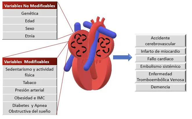 Presión arterial saludable